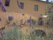 Rustico/casale/corte in vendita a Campagnatico