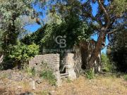 Rustico/Casale/Corte in vendita a Campo nell'Elba,...