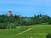Rustico/casale/corte in vendita a Casorzo strada Fittaria