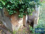 Rustico/casale/corte in vendita a Castagneto Carducci