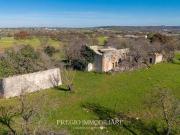 Rustico/casale/corte in vendita a Castellana Grotte