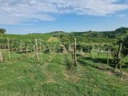 Rustico/casale/corte in vendita a Castelnuovo Calcea