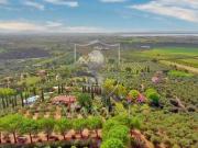 Rustico/casale/corte in vendita a Castiglione della...