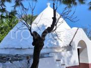 Rustico/casale/corte in vendita a Ceglie Messapica