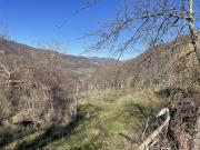 Rustico/Casale/Corte in vendita a Cerreto di Spoleto,...