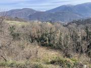 Rustico/Casale/Corte in vendita a Cerreto di Spoleto,...