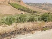 Rustico/casale/corte in vendita a Cianciana