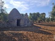 Rustico/casale/corte in vendita a Francavilla Fontana...