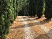 Rustico/casale/corte in vendita a Ghirlanda, Massa Marittima