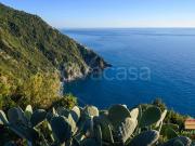Rustico/casale/corte in vendita a La Spezia, Biassa