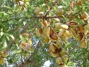 Rustico/casale/corte in vendita a Licata