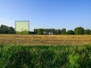 Rustico/casale/corte in vendita a Mestrino via Aquileia