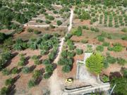 Rustico/casale/corte in vendita a Monopoli