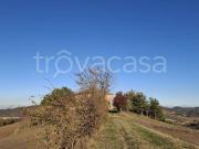 Rustico/casale/corte in vendita a Monte San Pietro via...