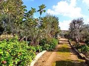 Rustico/casale/corte in vendita a Oria