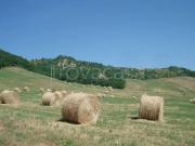 Rustico/casale/corte in vendita a Piandimeleto via Iv...