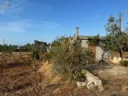 Rustico/casale/corte in vendita a Polignano a Mare...
