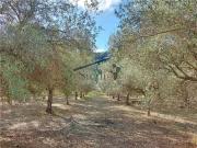 Rustico/casale/corte in vendita a Ragusa, Puntarazzi...