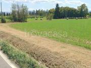 Rustico/casale/corte in vendita a San Vito, Spilamberto