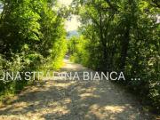 Rustico/casale/corte in vendita a Valsamoggia via...