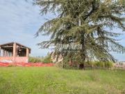 Rustico/casale/corte in vendita a Valsamoggia via San...