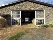 Rustico/casale/corte in vendita a Villafranca in...