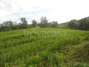 Rustico/casale/corte in vendita a Ziano Piacentino