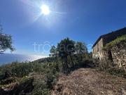 Rustico/casale/corte in vendita ad Acciaroli, Pollica