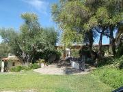 Rustico/casale/corte in vendita ad Arzachena
