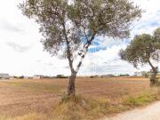 rústicoo em Ílhavo São Salvador, Ílhavo rústicoo em Ílhavo São Salvador, Ílhavo