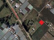 Ruta 36 Poblet Lote