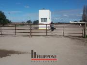 Ruta 3 sur Km 695 13000m2 Bahía Blanca