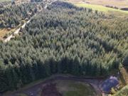 Rutting Season,spean Bridge, Land For Sale