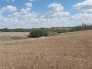 Rystrom Land, Corman Park Rm No. 344, SK, S7K 5W1 farm...