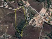 São 84.000m2…no Jardim Botânico