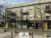 São João da Madeira São João da Madeira 98226485