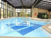 Sã£o paulo padrã£o pinheiros