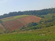 São Roque/SP – terrenos de 500m² cercados por natureza São Roque/SP – terrenos de 500m² cercados por natureza