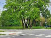 S Princeton Ave, Chicago, Plot For Sale