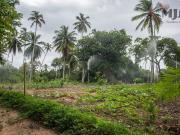 Sítio a venda Arembepe Bahia