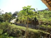 SÃtio com 4 dormitÃ³rios Ã venda, 12000 mÂ² por R$...