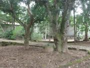 SÃtio com 4 quartos Ã venda em Rio Do Ouro RJ