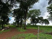 Sãtio completo, a 1,5 km do asfalto e prãximo de uberaba mg!
