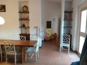 Sítio em Região Urbana