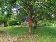 SÃtio Ã venda, Parada Ideal, Guapimirim, RJ