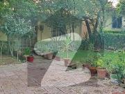 Safari Home Sector F 5M Single Story Fully Renovation...