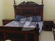 Safari Home Single Storey Sector F