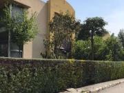 Safari homse 5 marla single story House for rent Sector...