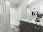 Sage at Cupertino 1 Bedroom Apartment for Rent at 175...