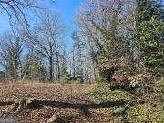 Sahara Dr SW, Atlanta, GA 30331